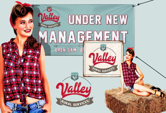 Valley Graphic Design Print Media by Strategic Media Partners