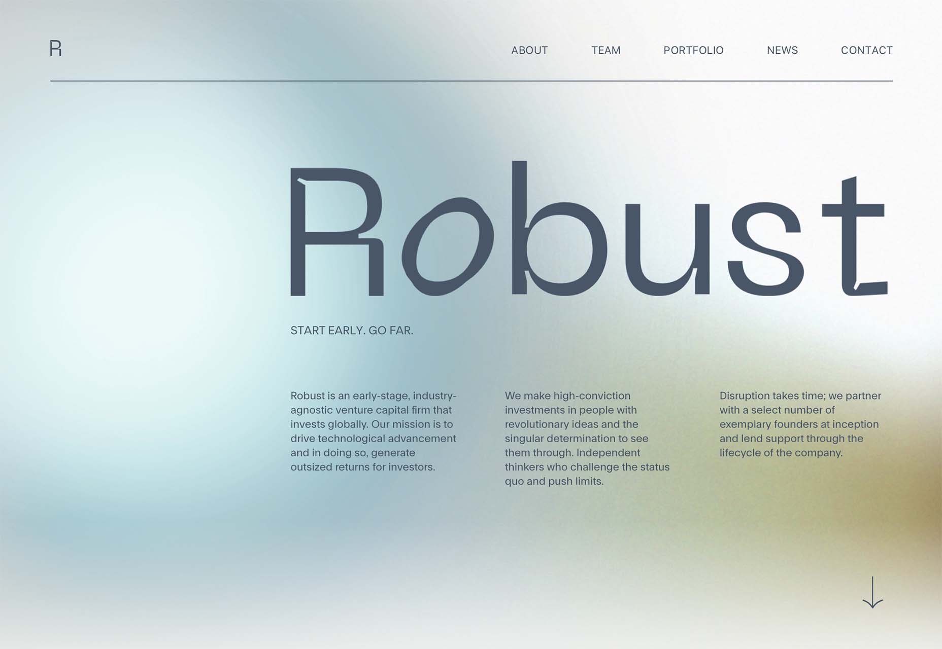 Robust website design