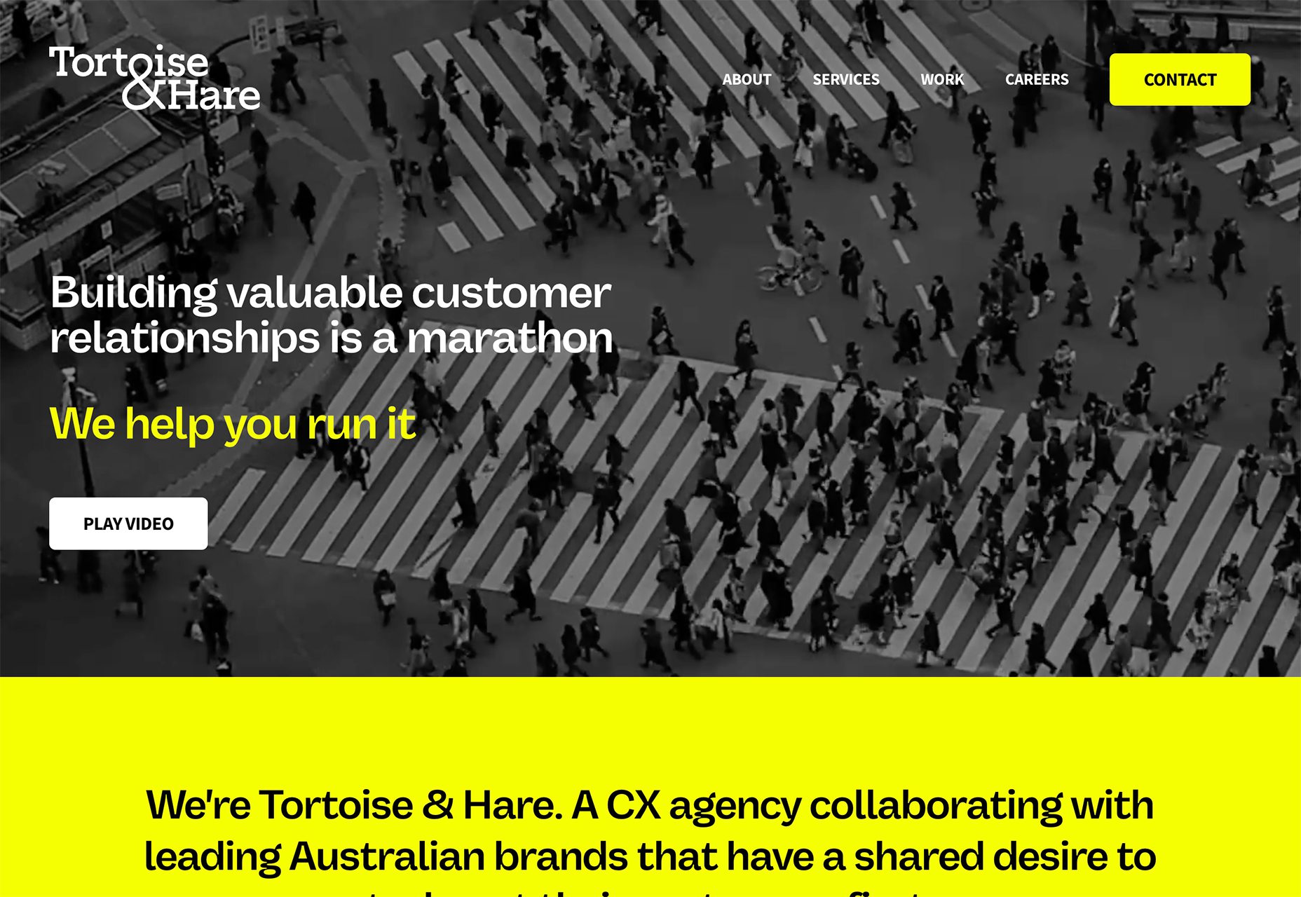 Tortoise & Hare CX Agency